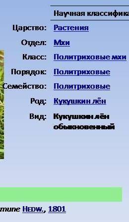 Назовите единицы систематики растений : А) ламинария Б) сфагнум