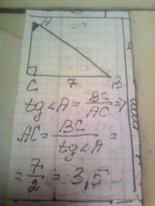 В треугольнике ABC угол С равен 90°, ВС =7, tg A=2. Найдите длину стороны АС​