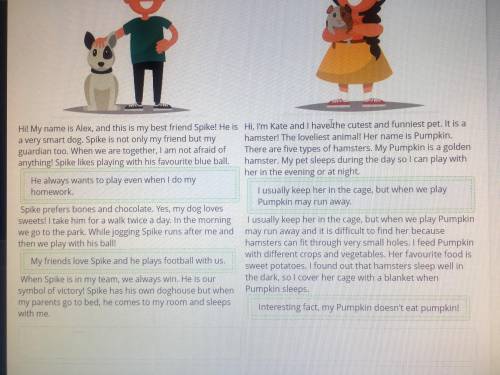 I've got a pet Read teenagers' blog entries about their pets and put the missing sentences in the co