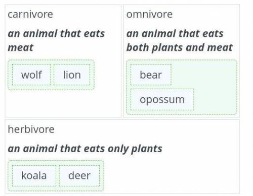Categorize these animals into three groups. carnivore an animal that eats meat omnivore an animal th