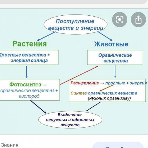 Нужно дополнить схему.​