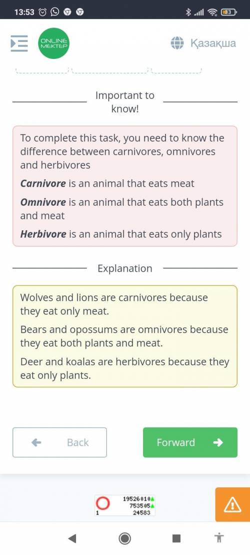 Categorize these animals into three groups. 1) carnivoreomnivoreherbivorean animal that eats meatan