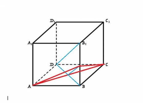 Постройте сечение куба abcda1b1c1d1 плоскостью проходящей через точки a и c параллельно прямой b1 d