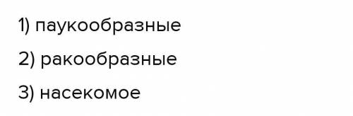 Распредели представителей животного мира между классами а)насекомое б) ракообразные в) паукообразные