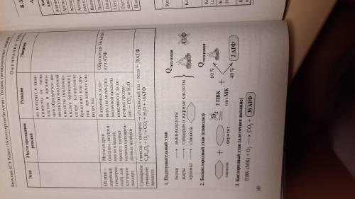 Мне нужно сдать характеристики биосинтеза белка фотосинтеза и энергетического обмена Где происходит,