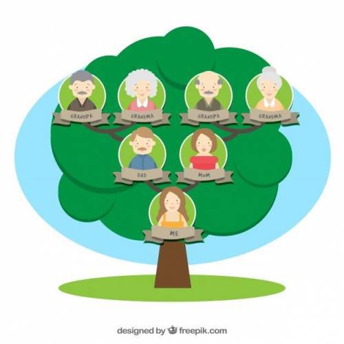 1. Подготовьте письменно рассказ об именах членов своей семьи.2. Составьте родовое древо вашейсемьи.