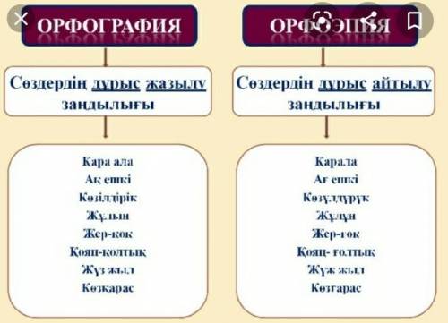 Адамшершілік – ең басты құндылық Орфоэпиялық норма дегеніміз не?Сөздерді дұрыс жазу ережелеріДұрыс с