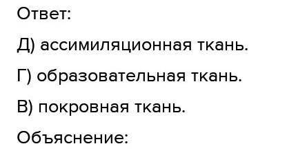 Задание 1. Что такое ткань? Назовите виды тканей. Задание 2. Определите вид ткани растений по описан