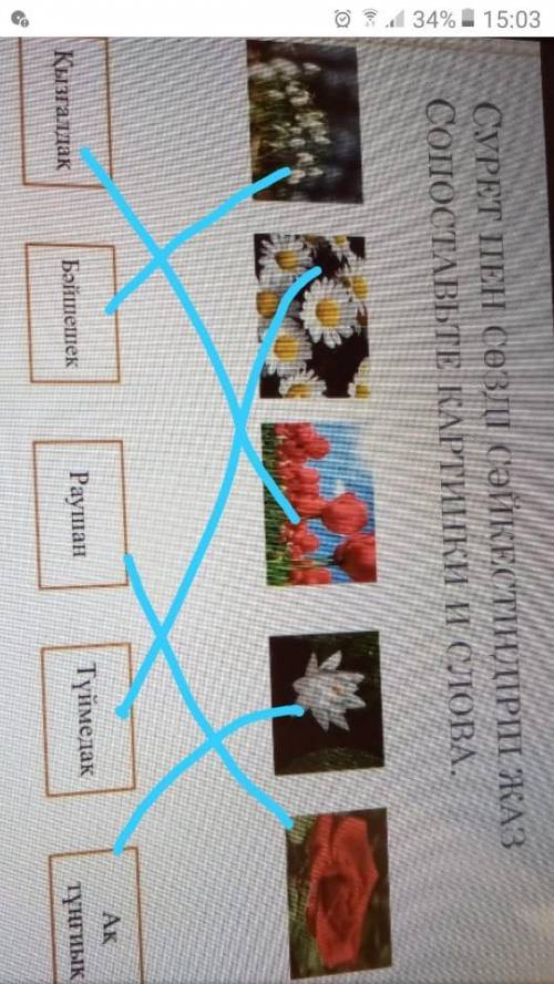 СУРЕТ ПЕН СӨЗДІ СӘЙКЕСТІНДІРІП ЖАЗ СОПОСТАВЬТЕ КАРТИНКИ И СЛОВА.АкРаушанБәйшешекТүймедақҚызғалдақтұҢ