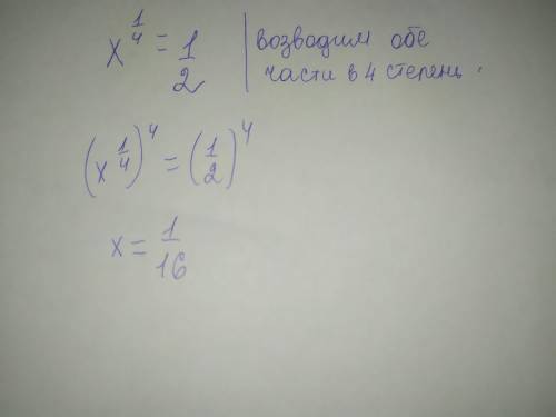 X в степени 1/4=1/2​