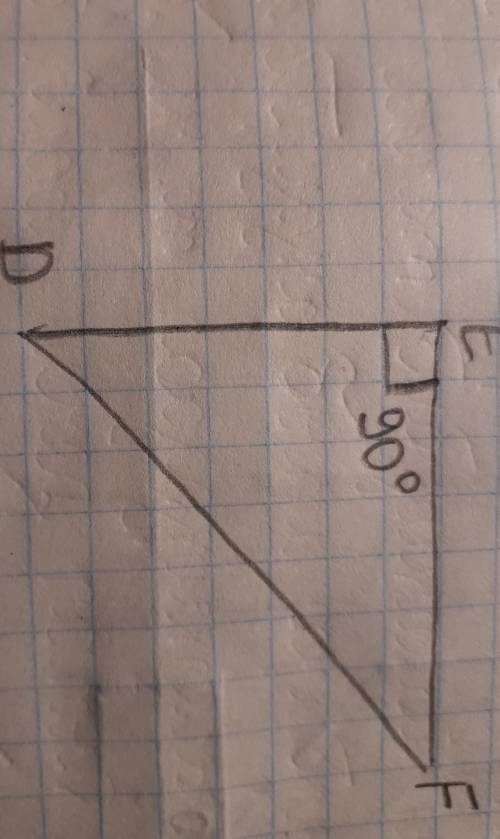 Начертите треугольник DEF так, чтобы угол E был прямым