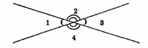 Две прямые при пересечении образуют 4 угла.Сумма 2 из них равна 310°.Найти величины всех 4 углов