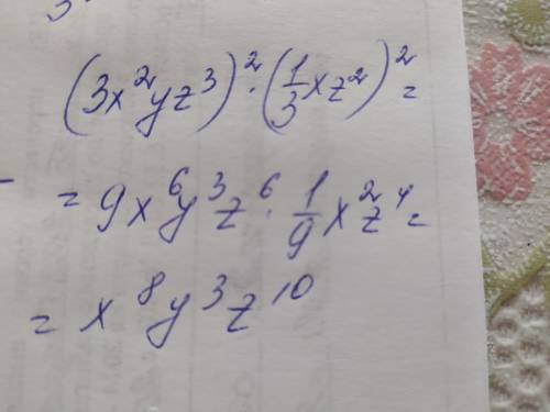 Упростите (3x^2yz^3)^2 ×(одна третья xz^2)^2 ответ