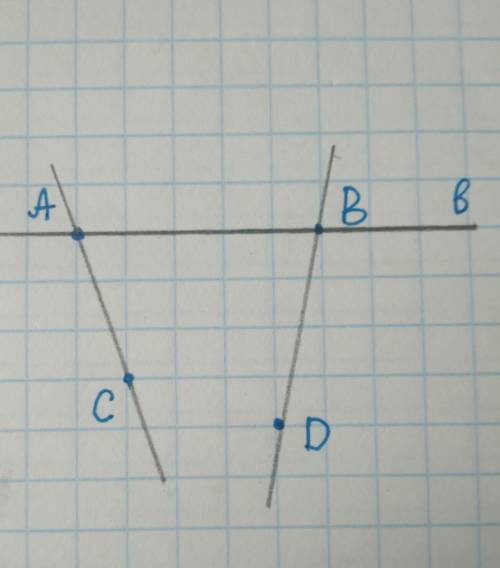 Отметьте точки А и В, лежащие на прямой b, и точки С и D, не лежащие на прямой b. Проведите прямые ч