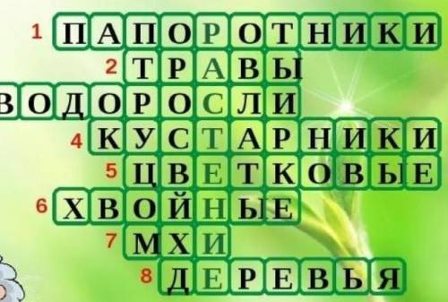 Кроссворд на тему царство растений 10 слов биология