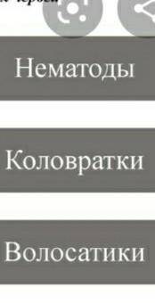 Какая классификация группы круглых червей?