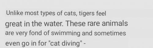 Do tigers swim?Yes, they do.​