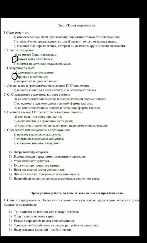 Тест русский язык 8 класс ​
