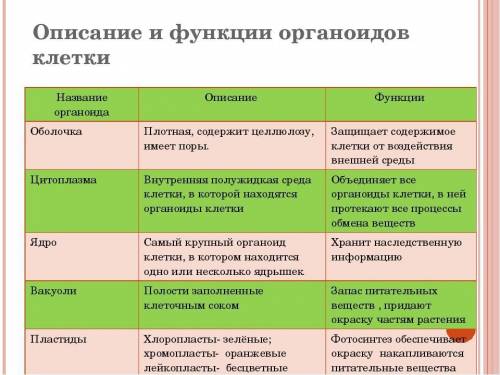 у на модульСтроение клетки. Органоиды и их функции​