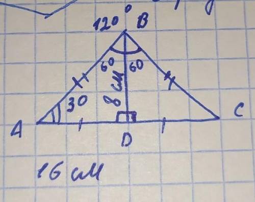 в равнобедренном треугольнике высота проведенная к основанию равна 8см а угол между боковыми сторона