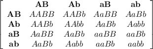 \left[\begin{array}{ccccc}&\bold{AB}&\bold{Ab}&\bold{aB}&\bold{ab}\\\bold{AB}&AABB&AABb&AaBB&AaBb\\\bold{Ab}&AABb&AAbb&AaBb&Aabb\\\bold{aB}&AaBB&AaBb&aaBB&aaBb\\\bold{ab}&AaBb&Aabb&aaBb&aabb\end{array}\right]