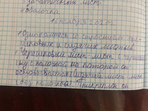 Лабораторная работа No 3 Изучение внешнего строения листаЛабораторная работа проводится с привлечени