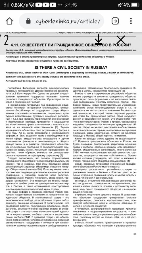 Есть ли гражданское общество в России? ​