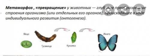 Искала в Интернете не могла понять. за понятный для меня ответ с примерами. +Кто подпишется на меня,