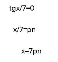 Решите уравнение tg x/7=0