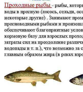 Объясни,почему проходные рыбы вынуждены при к разным условиями.