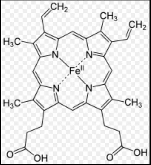 1.Какая химическая структура гемоглобина