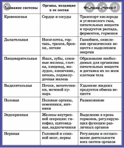 Таблица Система органов / Их особенности у человека