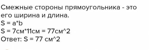 Смежные стороны прямоугольника равны 15м и 20 м. Найдите его площадь.​