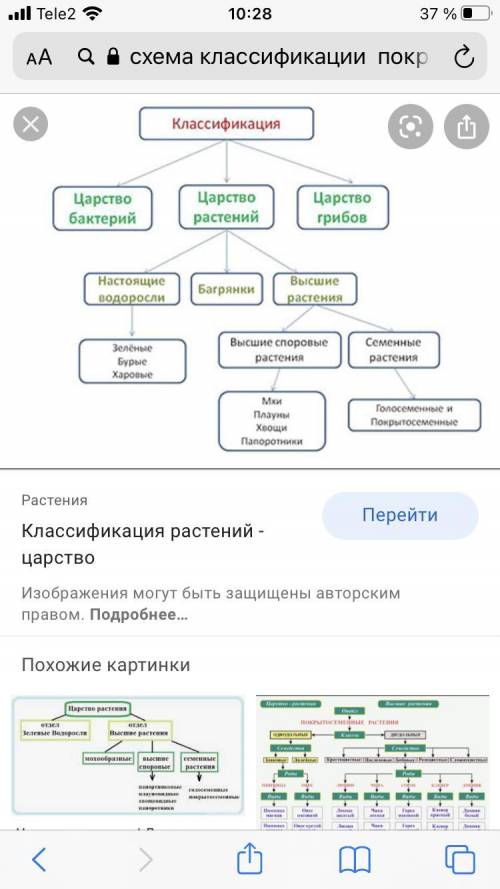 Схему классификации Покрытосеменных растений.​