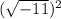 (\sqrt{-11})^{2}