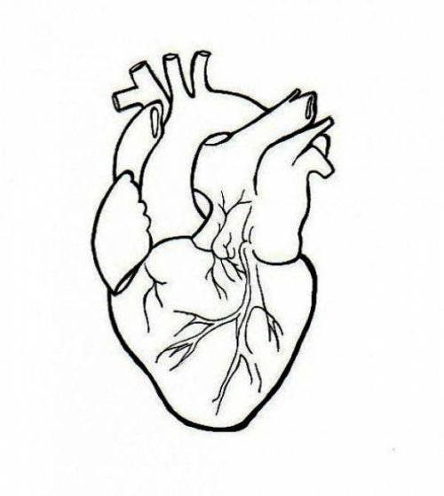найти шаблон человеческого сердца. только если оно подходит будет❤❤❤​