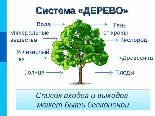 Является ли дерево системой, почему???