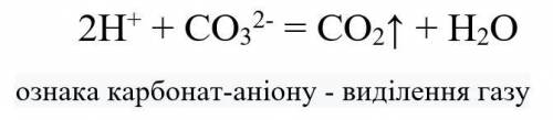 Яка ознака вказує на якісну реакцію на йон - CO32-​