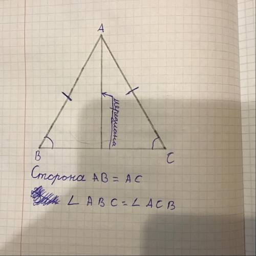 Начертите равнобедренный треугольник АВС с основанием ВС. Обозначьте равные стороны, равные углы. Пр