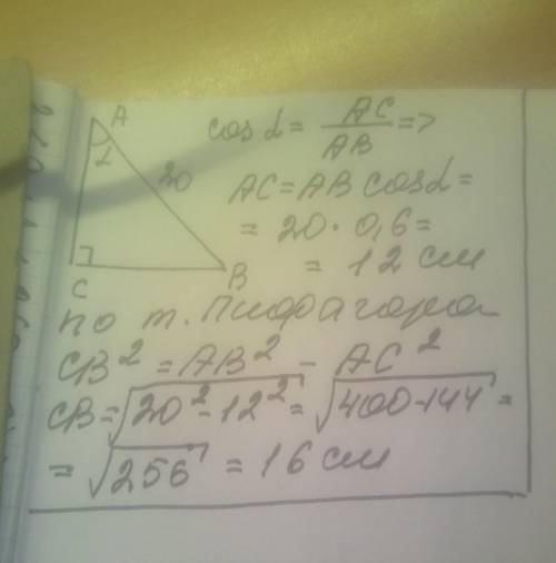 №1 В прямоугольном треугольнике АВС с = 20 см , cosα= 0,6. Найдите катеты треугольника.​