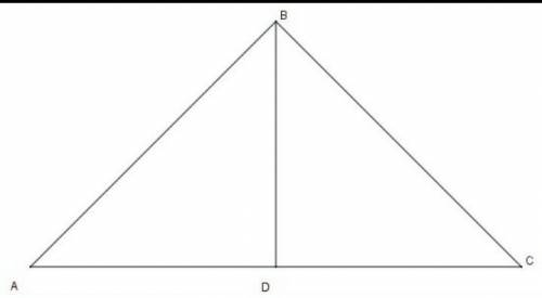 Длина основания равностороннего треугольника 30 см, а средняя длина основания 8 см. Найдите длину бо