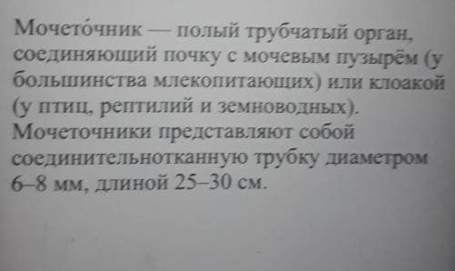 Полый мышечный орган, в котором накапливается, а за тем выводится наружу образовавшаяся моча это(про