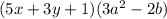 (5x+3y+1)(3a^{2}-2b)