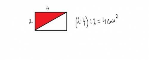 Вычисли площадь прямоугольный треугольников. 2см 4см и 8см 10см