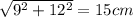 \sqrt{9^{2} +12^{2} }=15 cm