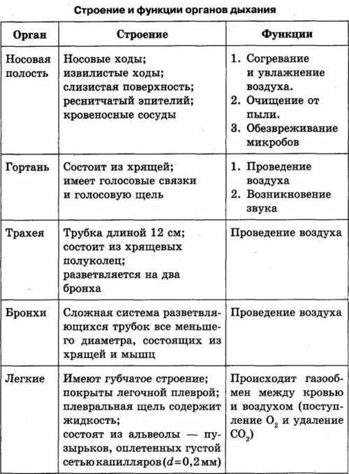 Составьте таблицу строение и функции органов дыхания. Органы дыхания/ строение/ функции​