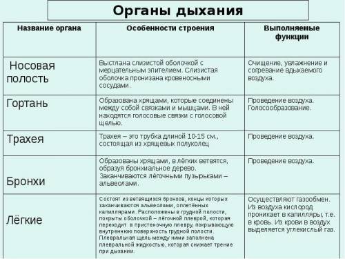 Составьте таблицу строение и функции органов дыхания. Органы дыхания/ строение/ функции​