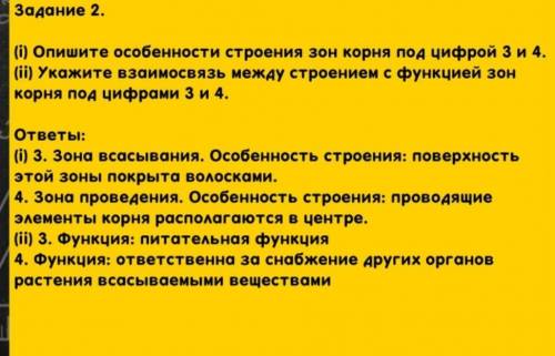 Рассмотрите изображение заполните таблицу опишите особенности строения корня под цифрой 1 и 5 НУЖНО