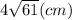 4 \sqrt{61} (cm)