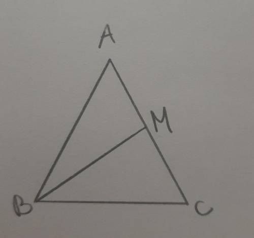 Начертите равнобедренный треугольник ABC с основанием BC.С циркуля и линейки проведите медиану BM к